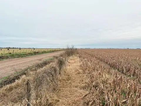 Excelente campo agrícola en perfecta ubicación logística