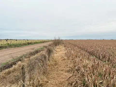 Santa Teresa '30 has