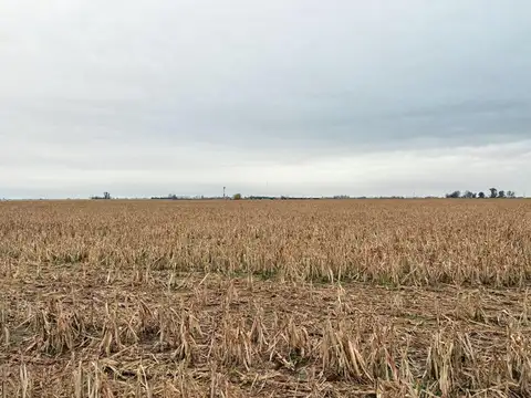 Santa Teresa '30 has