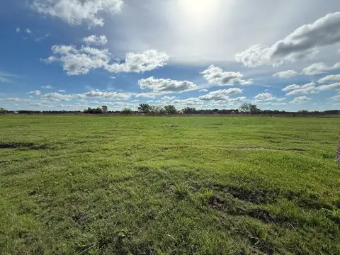 Terreno en Venta 31  mts Frente