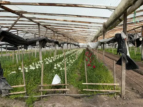 HECTAREAS EN VENTA ABASTO Y CASA 4 DORMITORIOS