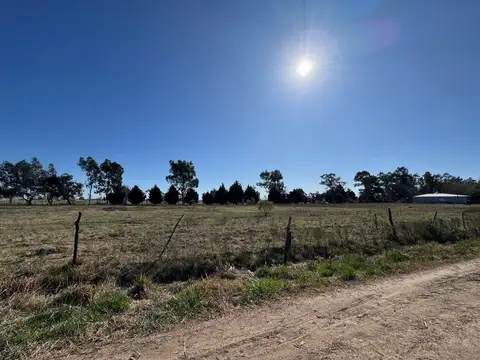 Terreno en Venta de 1716,94 m2