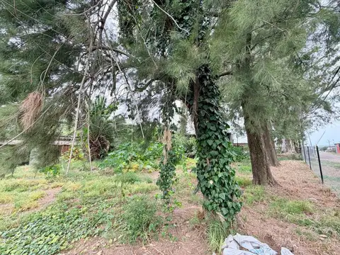 Terreno en Venta de 1300,0 m2