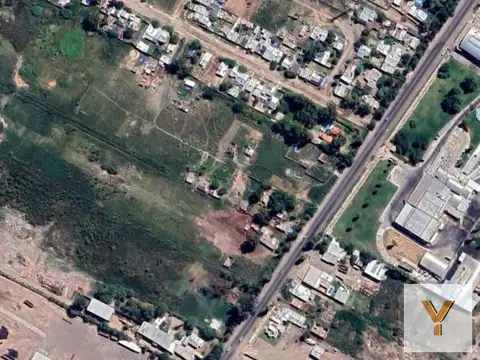 Severo del Castillo y Ferrari