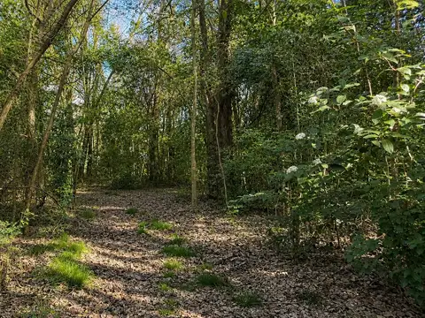 LA ARAUCARIA | LOTE PREMIUM DE 1.824 m²