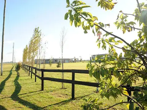 Terreno en Venta en Cañuelas, USD 16.000