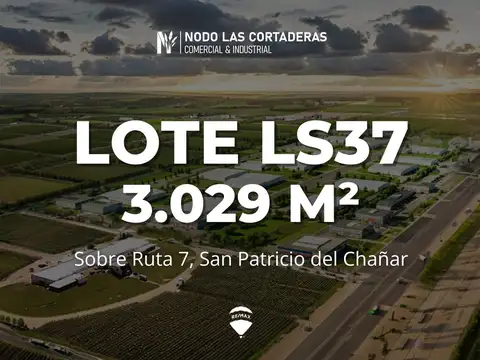NODO LAS CORTADERAS | LOTE LS37