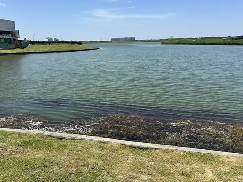 Terreno en Venta de 984,0 m2