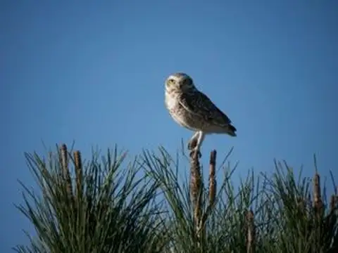 Terreno en Venta en Punta Medanos, USD 35.000