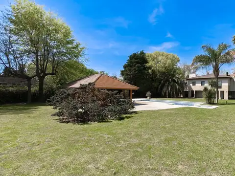 Alejandro Vitale 500