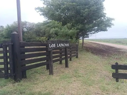 campo mixto de 165 has. alambrado a 10 kms de Castelli