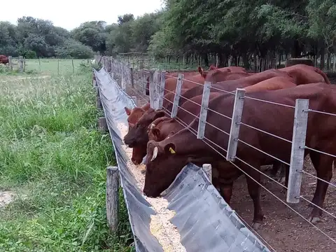 Campo en Venta de 165  ha