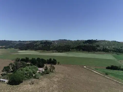 Sierra de los Padres - 6.5 has
