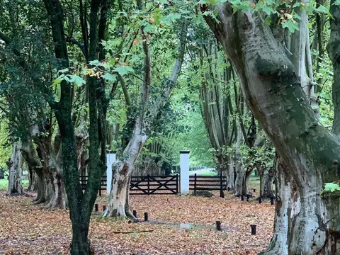 Campo en Venta de 1,15  ha