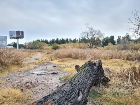 Terreno en Alquiler de 8263,0 m2