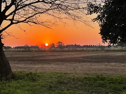 Chacras de la Vanguardia