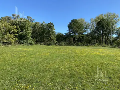 Terreno en Venta de 4495,0 m2