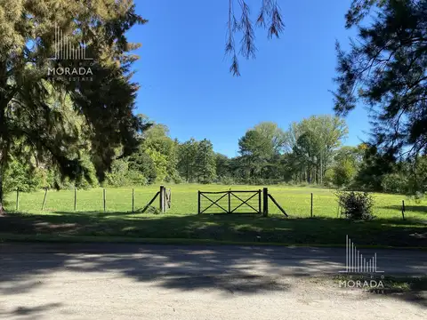 El Solar de Capilla L 10