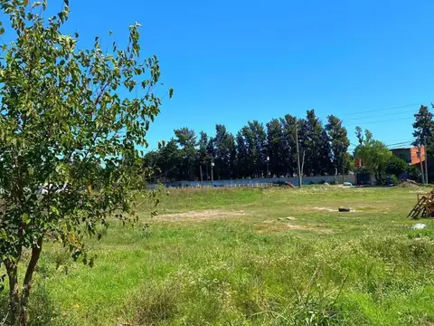 Sarmiento 1300