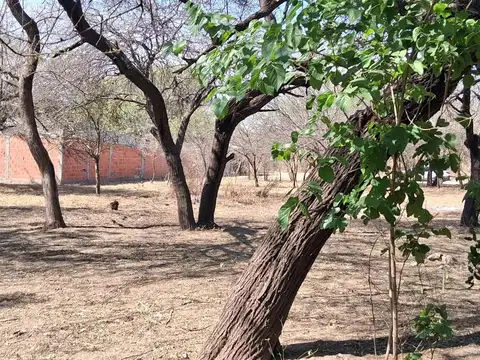 Terreno en Venta en Las Flores, USD 25.000