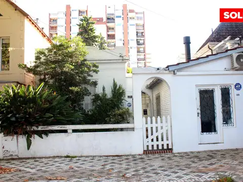 Paunero al 1800
