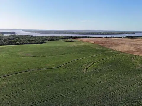 113 hectáreas sobre RN18