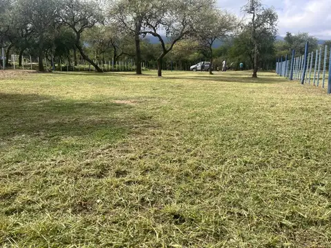 QUEBRACHO LADEADO