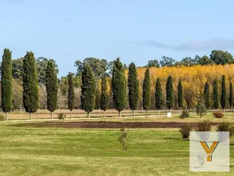 Terreno en Venta de 798,0 m2