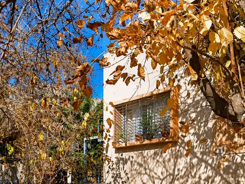 ALQUILER DEPARTAMENTO