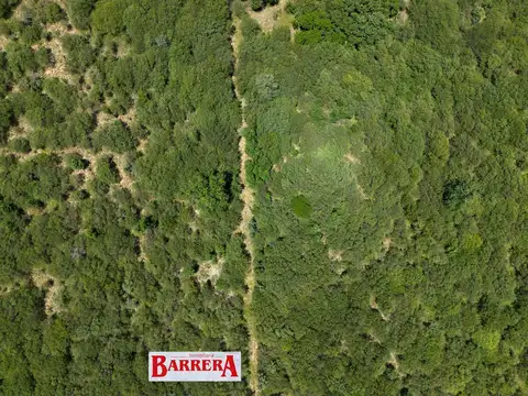 Campo en Venta de 25  ha