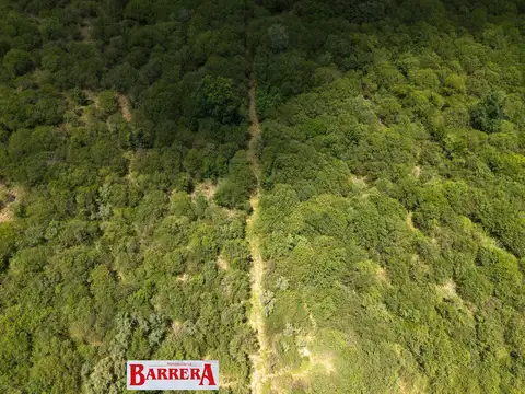 Campo en Venta Agrícola