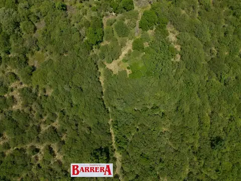 Campo en Venta Agrícola