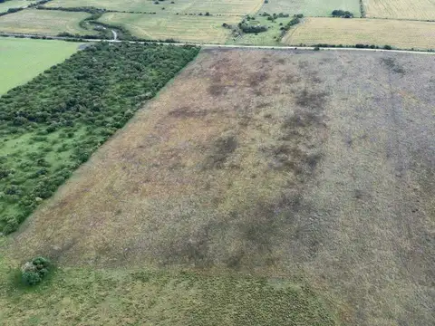Vendo Campo 48 Has en San Justo Entre Ríos