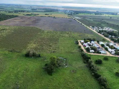Vendo Campo 48 Has en San Justo Entre Ríos