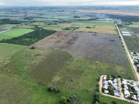 Vendo Campo 48 Has en San Justo Entre Ríos