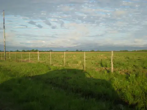 Quinta en Venta 44 años