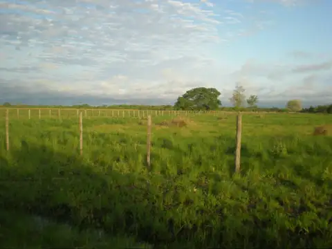 Quinta en Venta en Fontana, USD 60.000