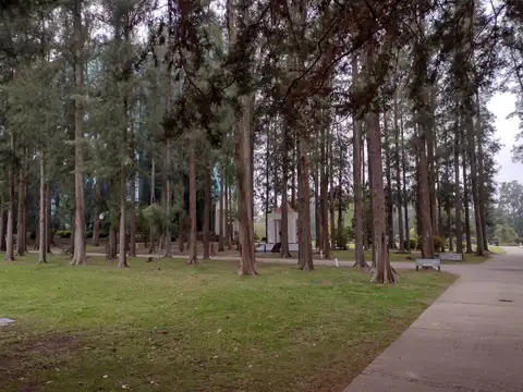 Venta parcela cementerio Parque La Gloria, permuta, lista para escriturar, oportunidad!