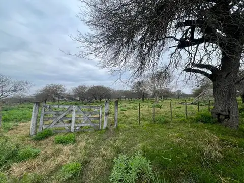 Ruta Prov. 57