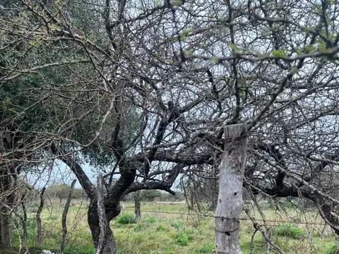 Campo en Venta de 10  ha