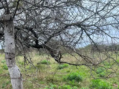 Campo en Venta Chacra