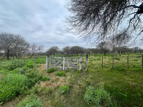 Campo en Venta Chacra