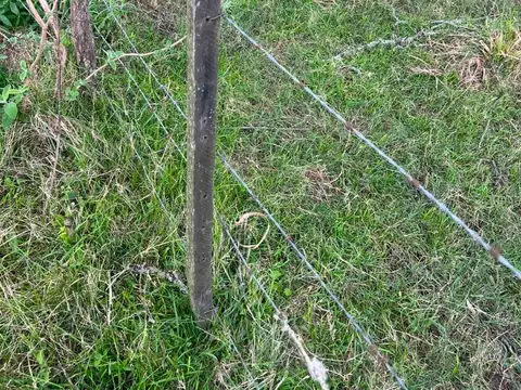 Campo en Venta de 10  ha