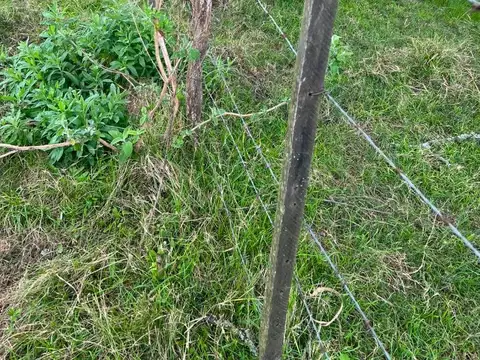 Campo 10 hectareas Ganaderas-Chacra-Recreacion Sauce