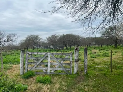 Campo 10 hectareas Ganaderas-Chacra-Recreacion Sauce