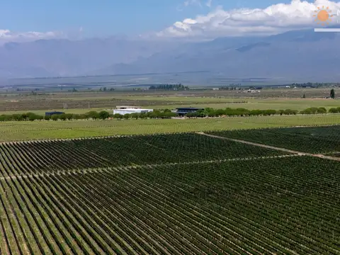 Finca en venta en Los Chacayes