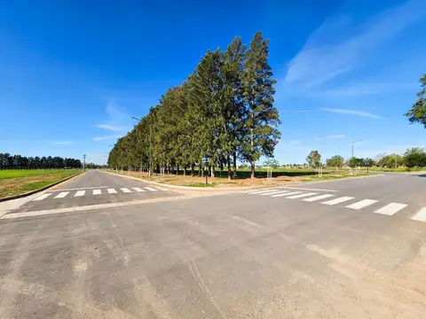 Terreno en Venta 10  mts Frente