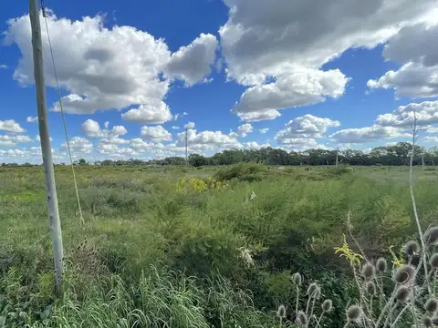 Terreno en Venta 20  mts Fondo