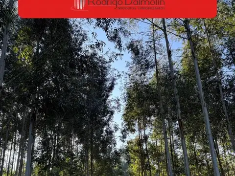 Ruta Nacional 14 Estancia Grande 200