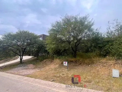Av. Ejército Argentino